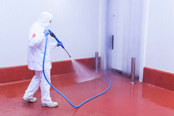 Best House Exterior Washing  in Four Corners, TX